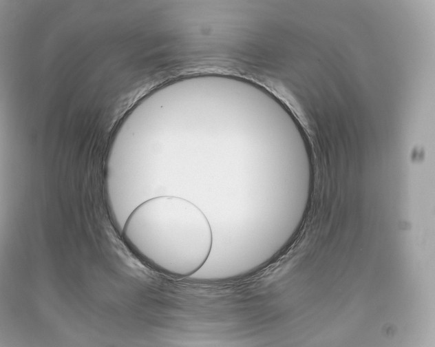 X0000091940393200709051307