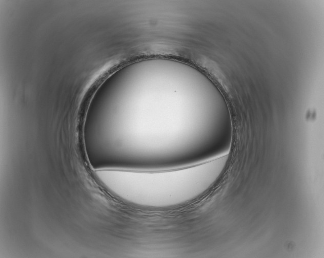 X0000091940395200709051307