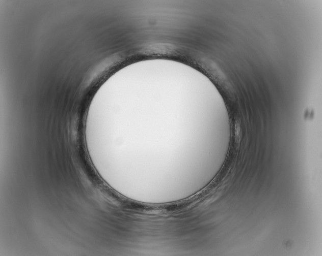X0000091940396200709051307