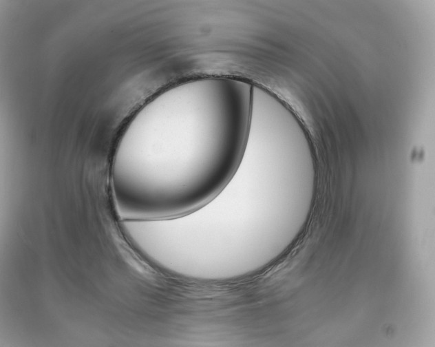 X0000091940397200709051307