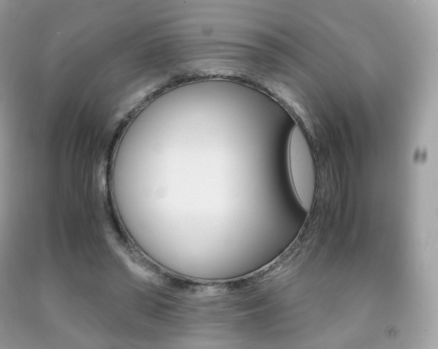 X0000091940398200709051307