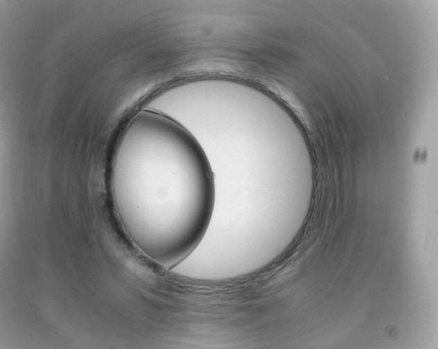 X0000091940399200709051307