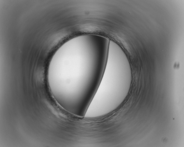 X0000091940400200709051307