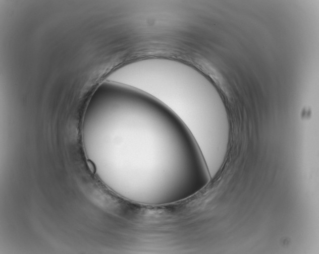 X0000091940401200709051307