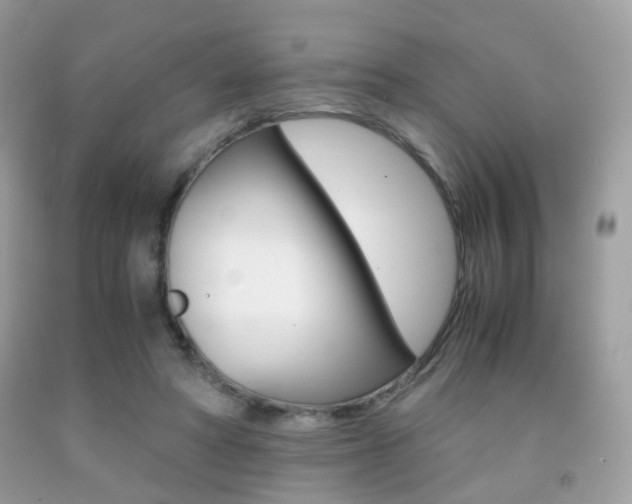 X0000091940402200709051307