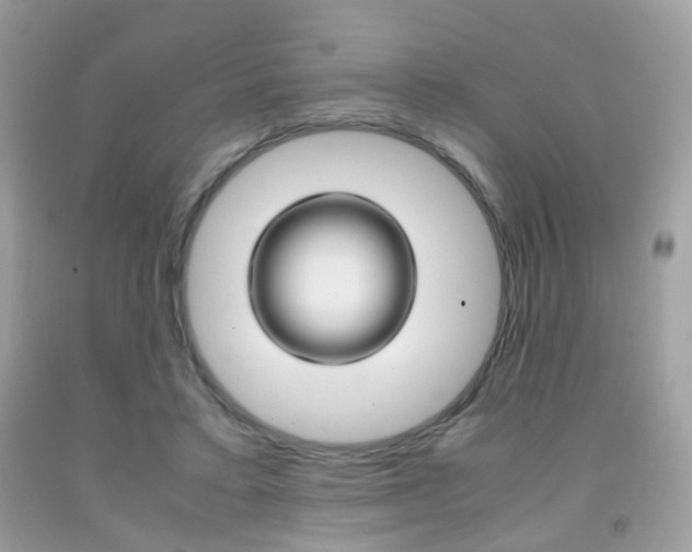 X0000091940403200709051307
