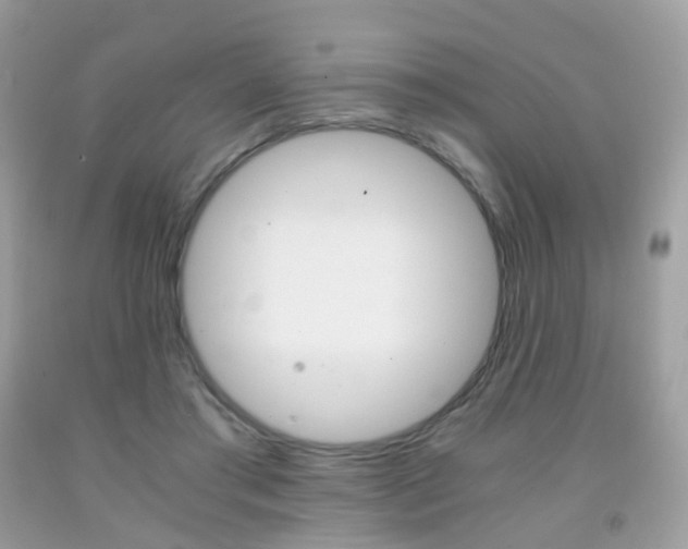 X0000091940405200709051307