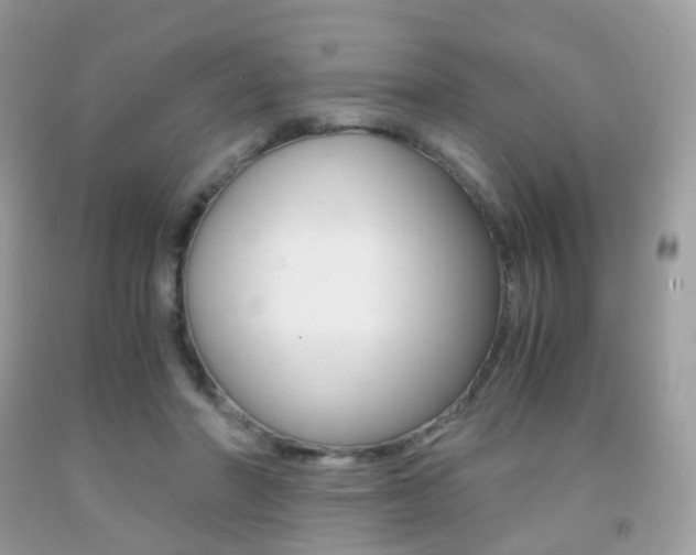 X0000091940406200709051307