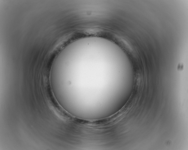 X0000091940408200709051307