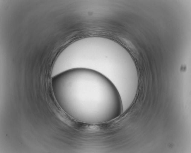 X0000091940409200709051307