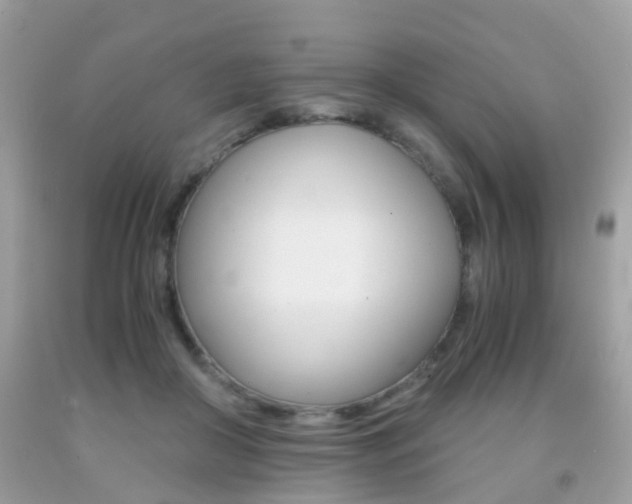 X0000091940410200709051307