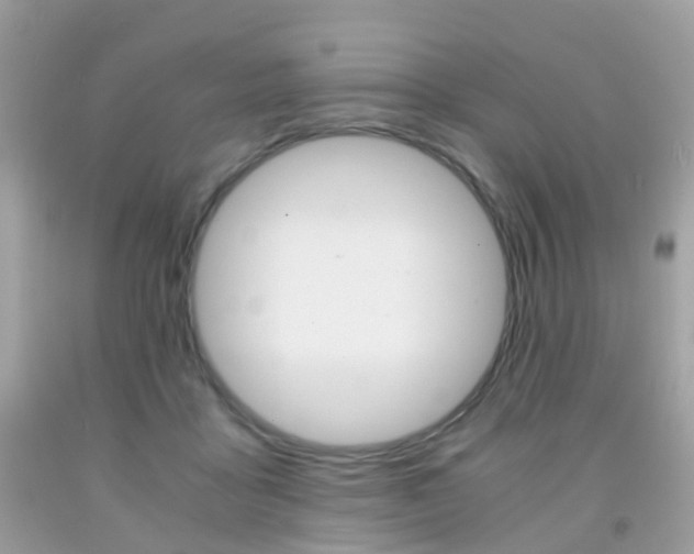 X0000091940411200709051307