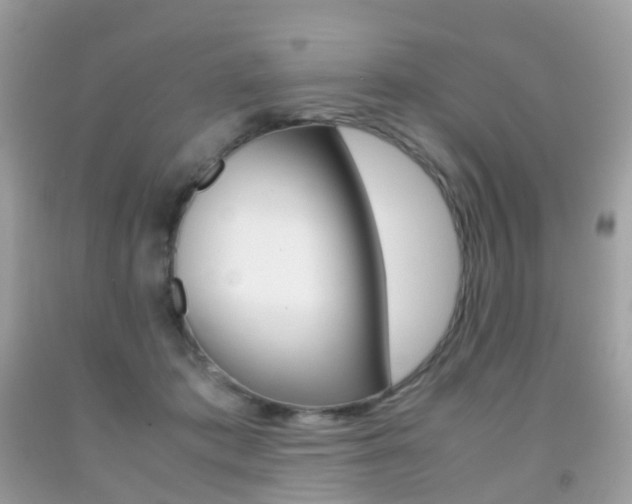 X0000091940413200709051307