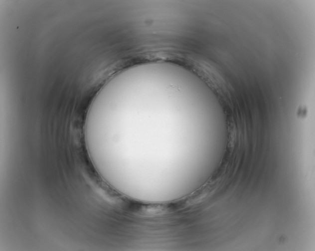 X0000091940414200709051307
