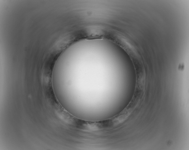 X0000091940417200709051307