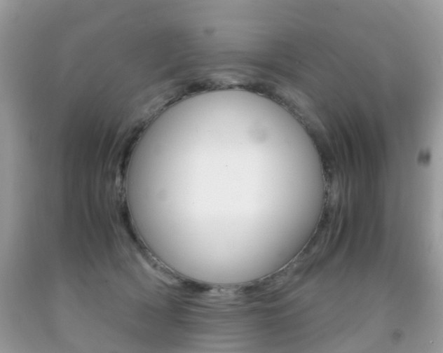 X0000091940418200709051307