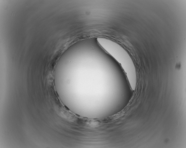 X0000091940419200709051307