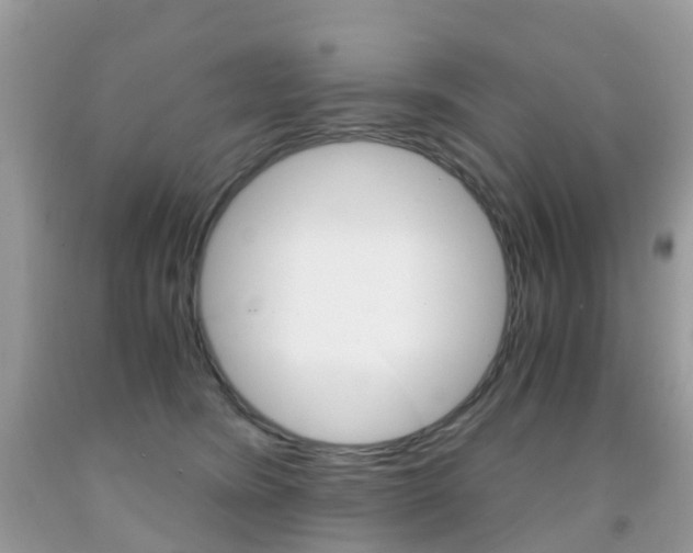 X0000091940420200709051307