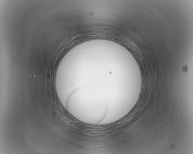 X0000091940421200709051307