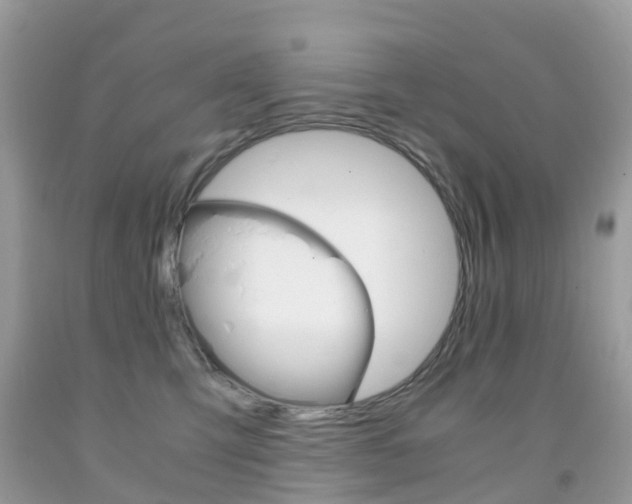 X0000091940423200709051307