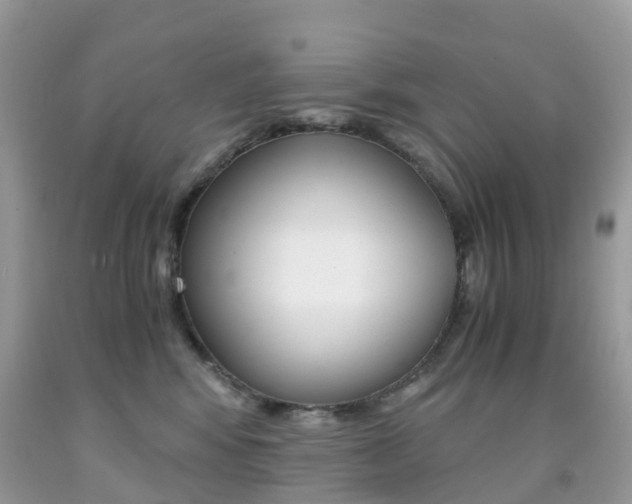 X0000091940424200709051307
