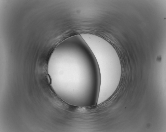 X0000091940425200709051307