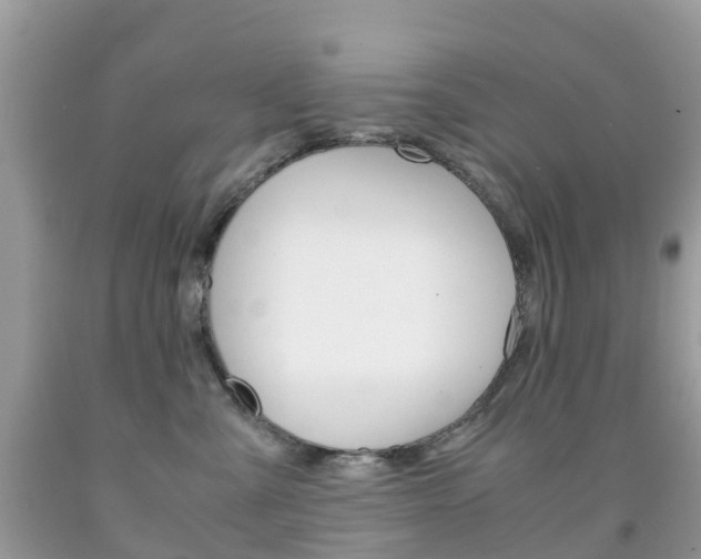X0000091940427200709051307