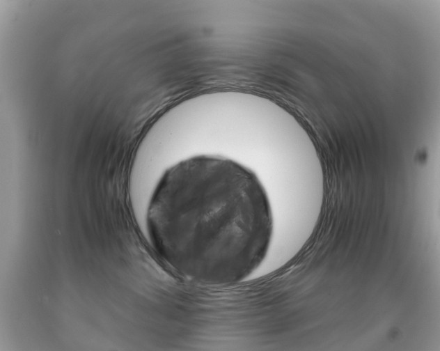 X0000091940428200709051307