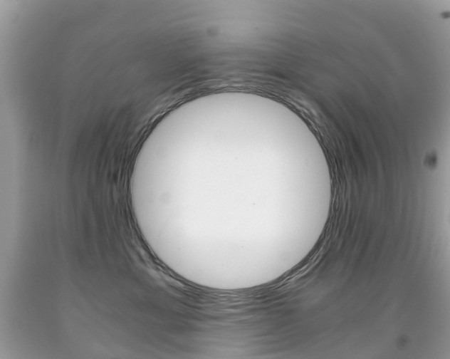 X0000091940429200709051307