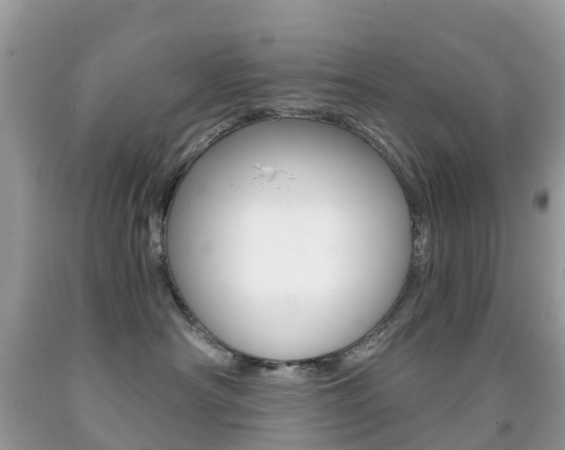 X0000091940430200709051307