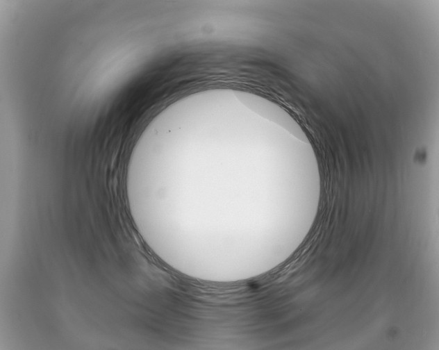 X0000091940431200709051306