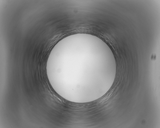X0000091940432200709051306