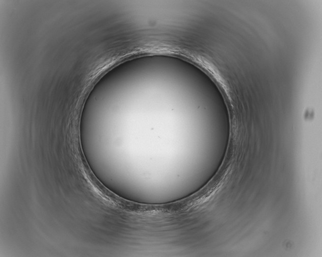 X0000091940433200709051306
