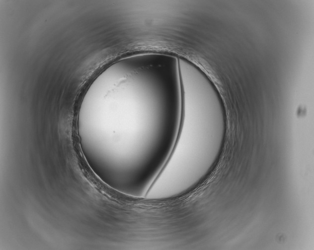 X0000091940434200709051306