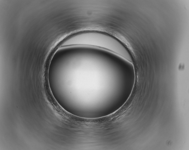 X0000091940436200709051306