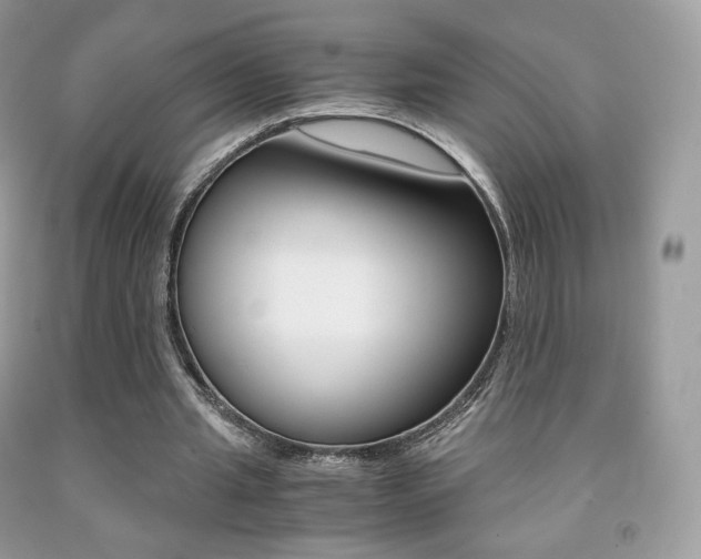 X0000091940437200709051306