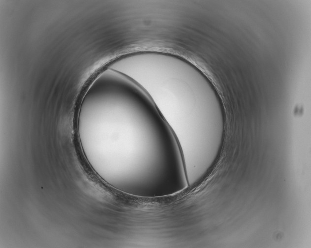 X0000091940438200709051306