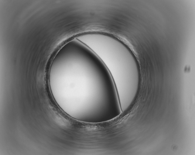 X0000091940439200709051306