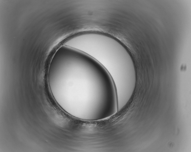 X0000091940440200709051306