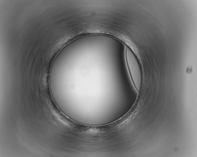 X0000091940441200709051306