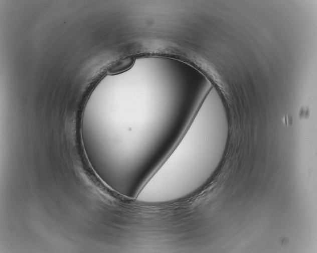 X0000091940442200709051306