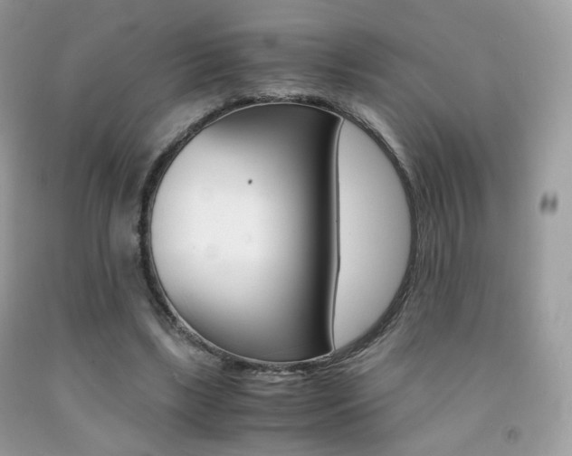 X0000091940443200709051306