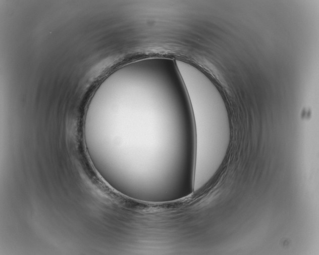 X0000091940444200709051306