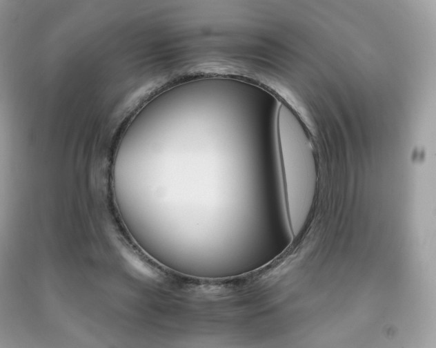 X0000091940445200709051306