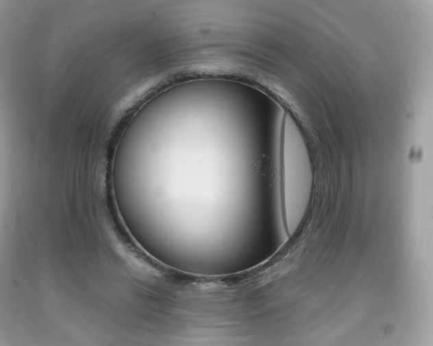 X0000091940446200709051306