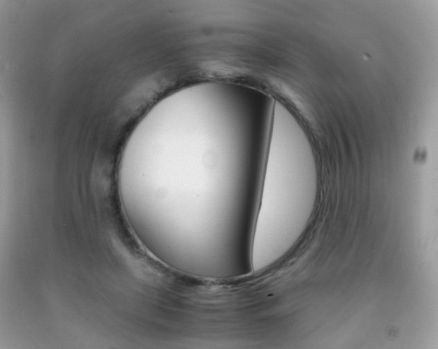 X0000091940451200709051306