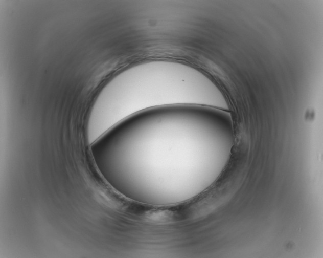 X0000091940452200709051306