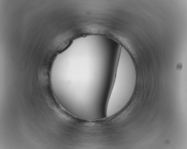 X0000091940453200709051306