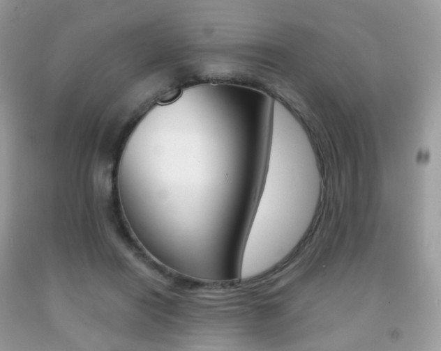 X0000091940454200709051306