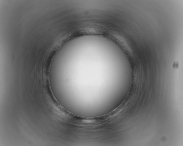 X0000091940457200709051306